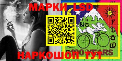 кокс Можга