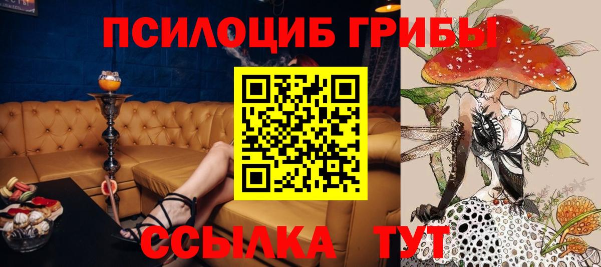 Ханты-Мансийск  Галлюциногенные грибы Cubensis  Вход с VPN 